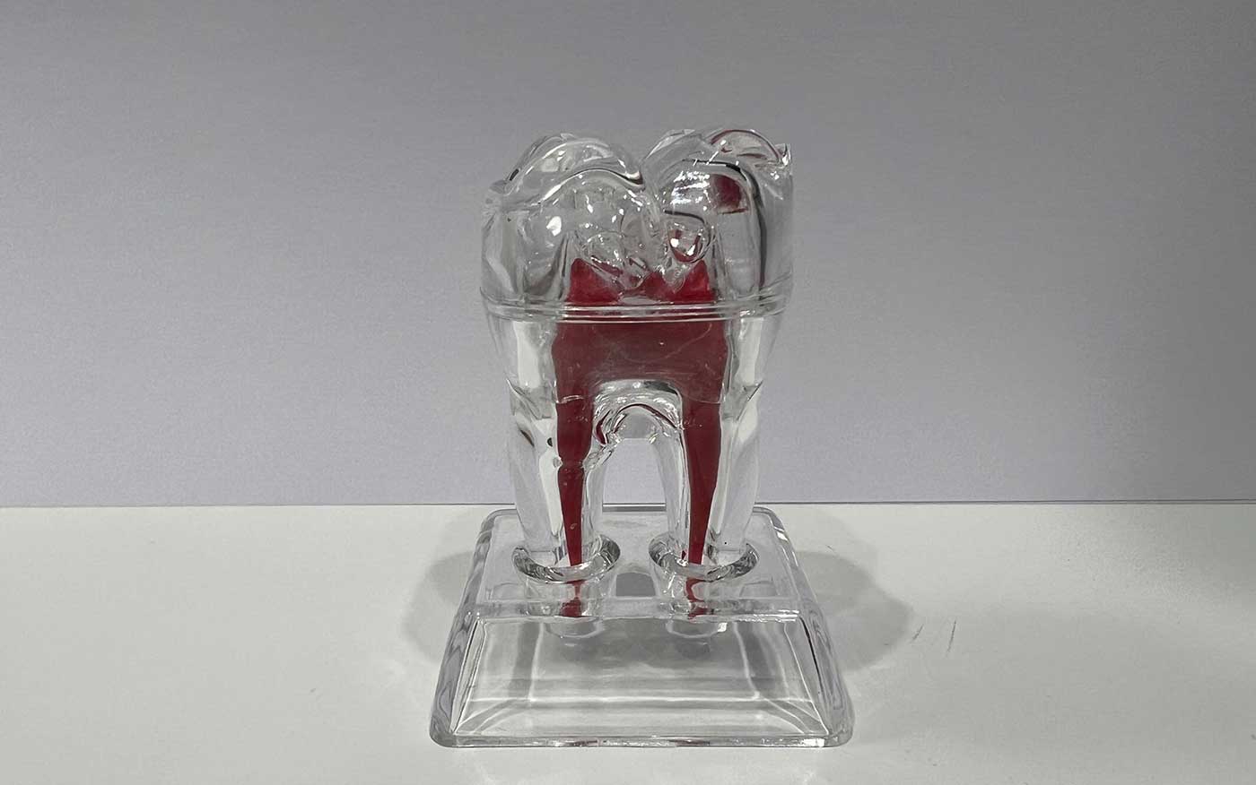 Tratamientos dentales Ortodoncia, Estética y Prótesis ...